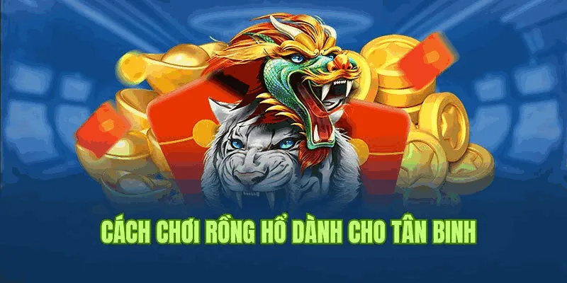 Bí kíp chơi bài Rồng Hổ soi cầu đảo 1-1