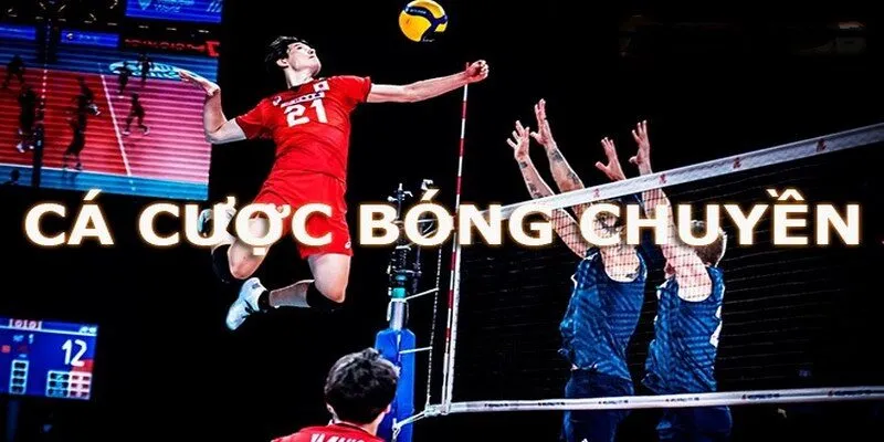 Mẹo hay để cá cược bóng chuyền thắng lớn